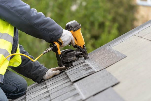 Best Solar Panel Roofing Installation  in Hohenwald, TN