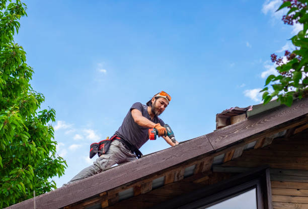 Best Storm Damage Roof Repair  in Hohenwald, TN