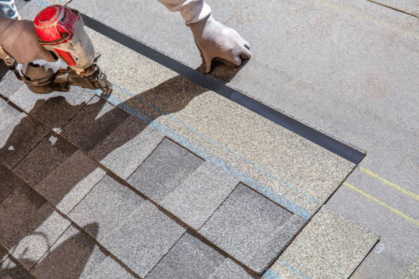 Best Asphalt Shingle Roofing  in Hohenwald, TN